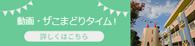 動画・ザこまどりタイム！